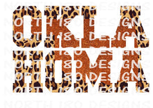 Load image into Gallery viewer, Cowboys Cheetah and Glitter Vintage Hoodie