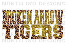 Load image into Gallery viewer, Broken Arrow Cheetah and Glitter Vintage Hoodie
