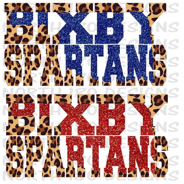 Bixby Cheetah and Glitter Vintage Hoodie