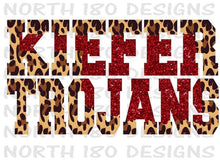 Load image into Gallery viewer, Kiefer Cheetah and Glitter Vintage Hoodie
